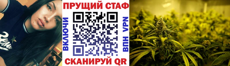Где купить Бердск Бошки Шишки  АМФ  Гашиш  ТГК  МЕФ  Псилоцибиновые грибы 