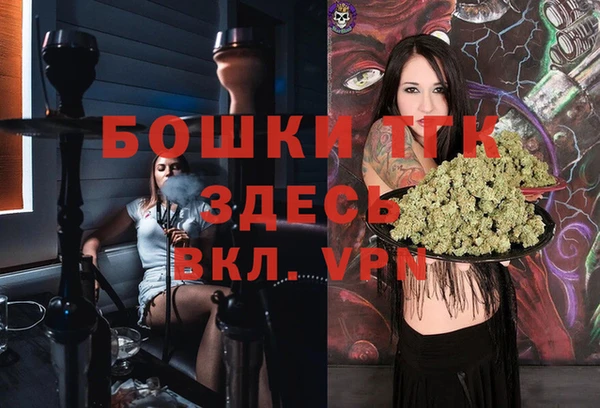 индика Верея
