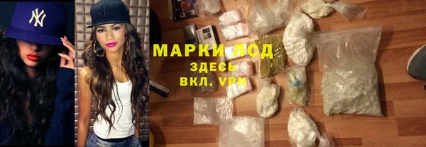 индика Верея