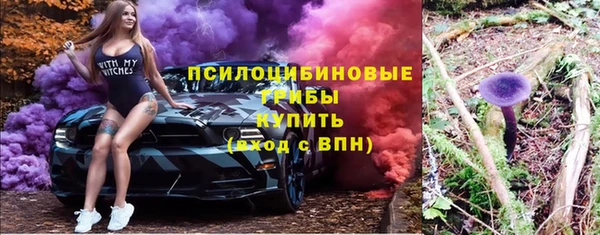 индика Верея