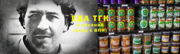 индика Верея